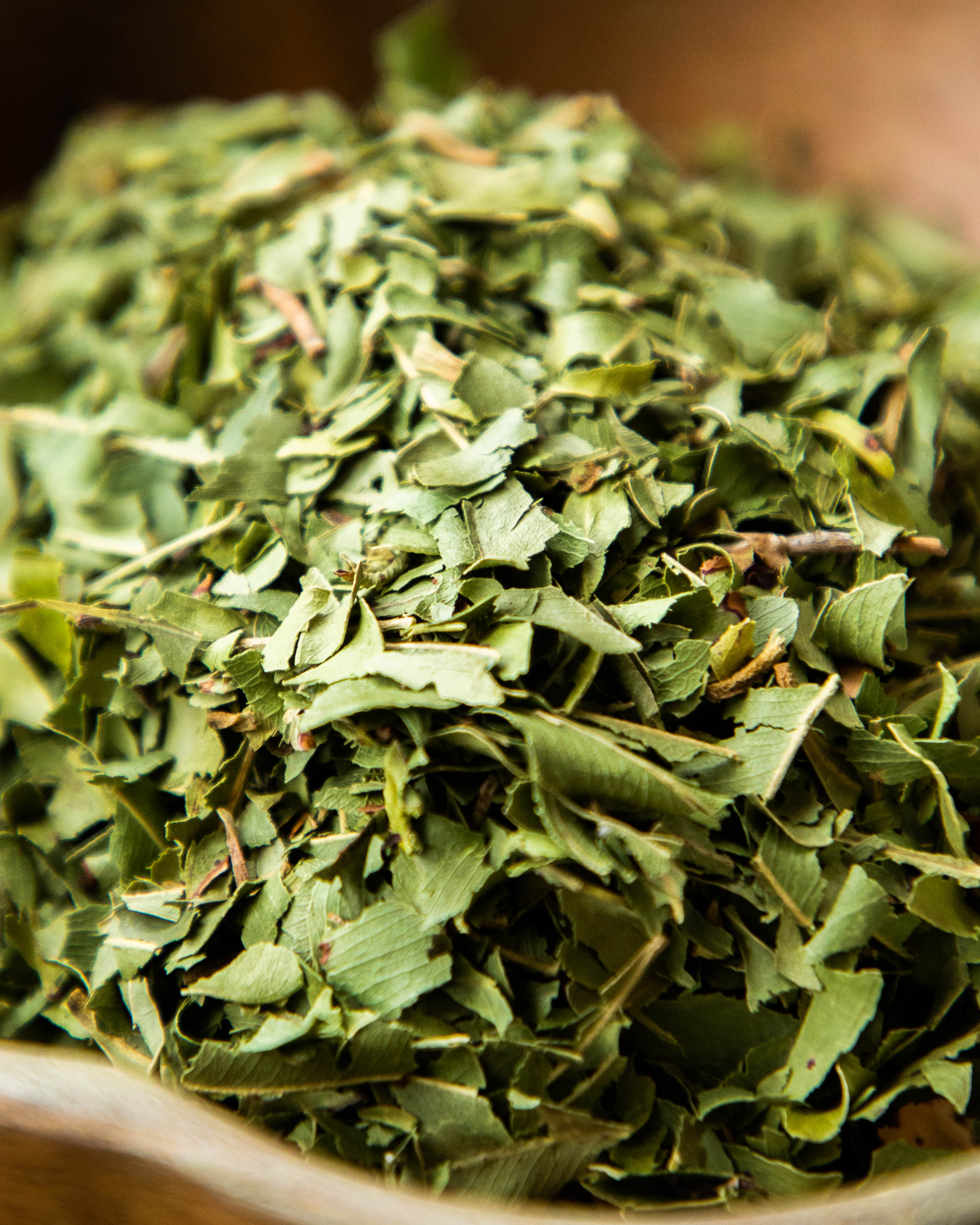 Aniseed Myrtle