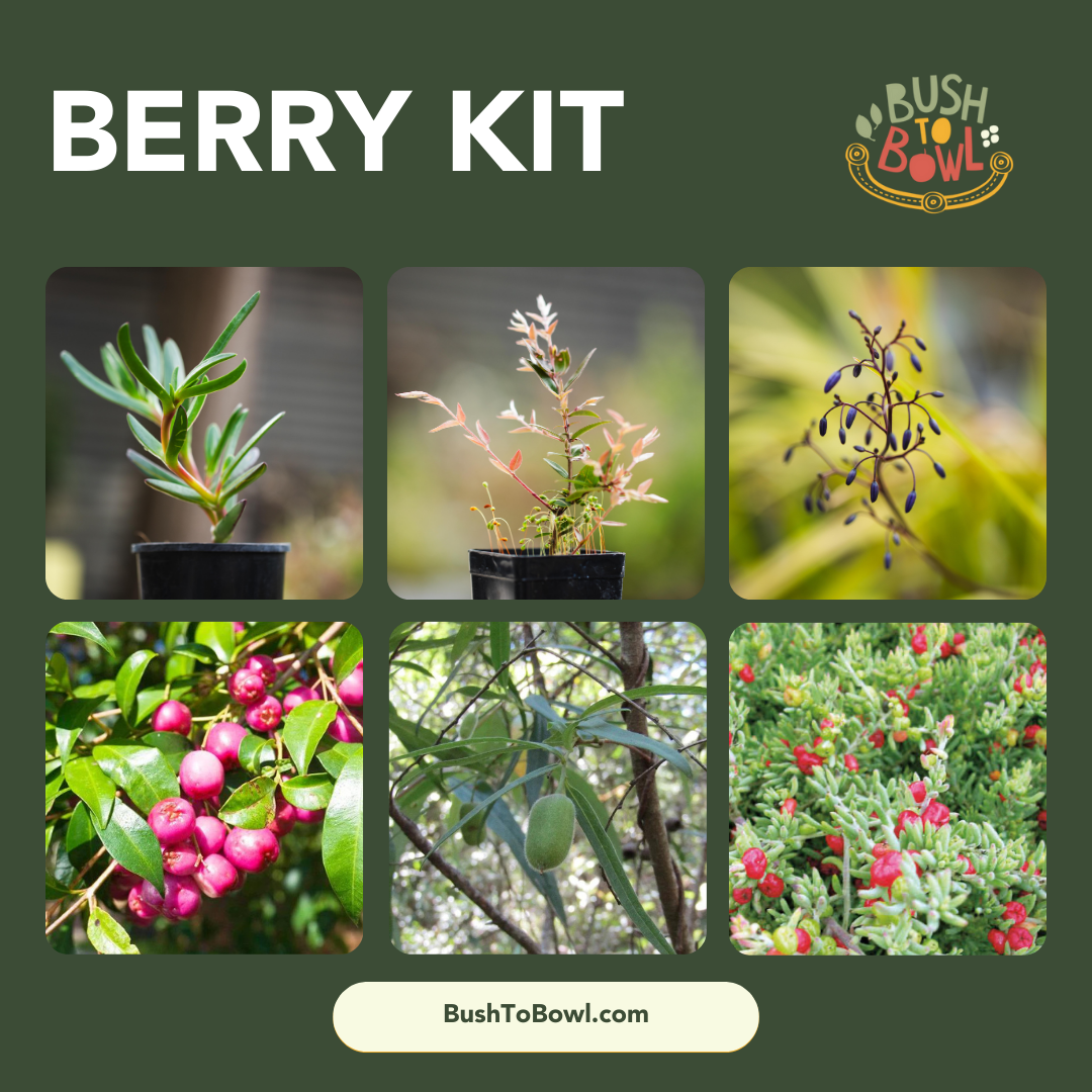 Berry Kit