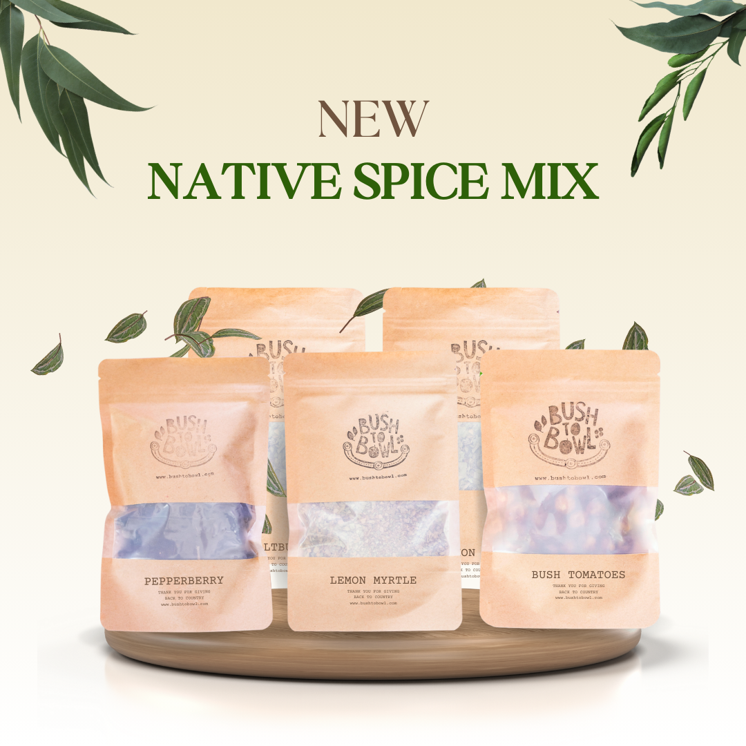 Native Spice Kit