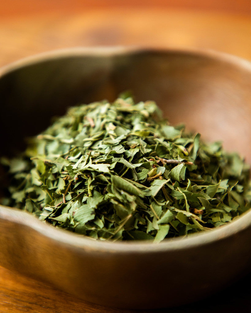 Aniseed Myrtle