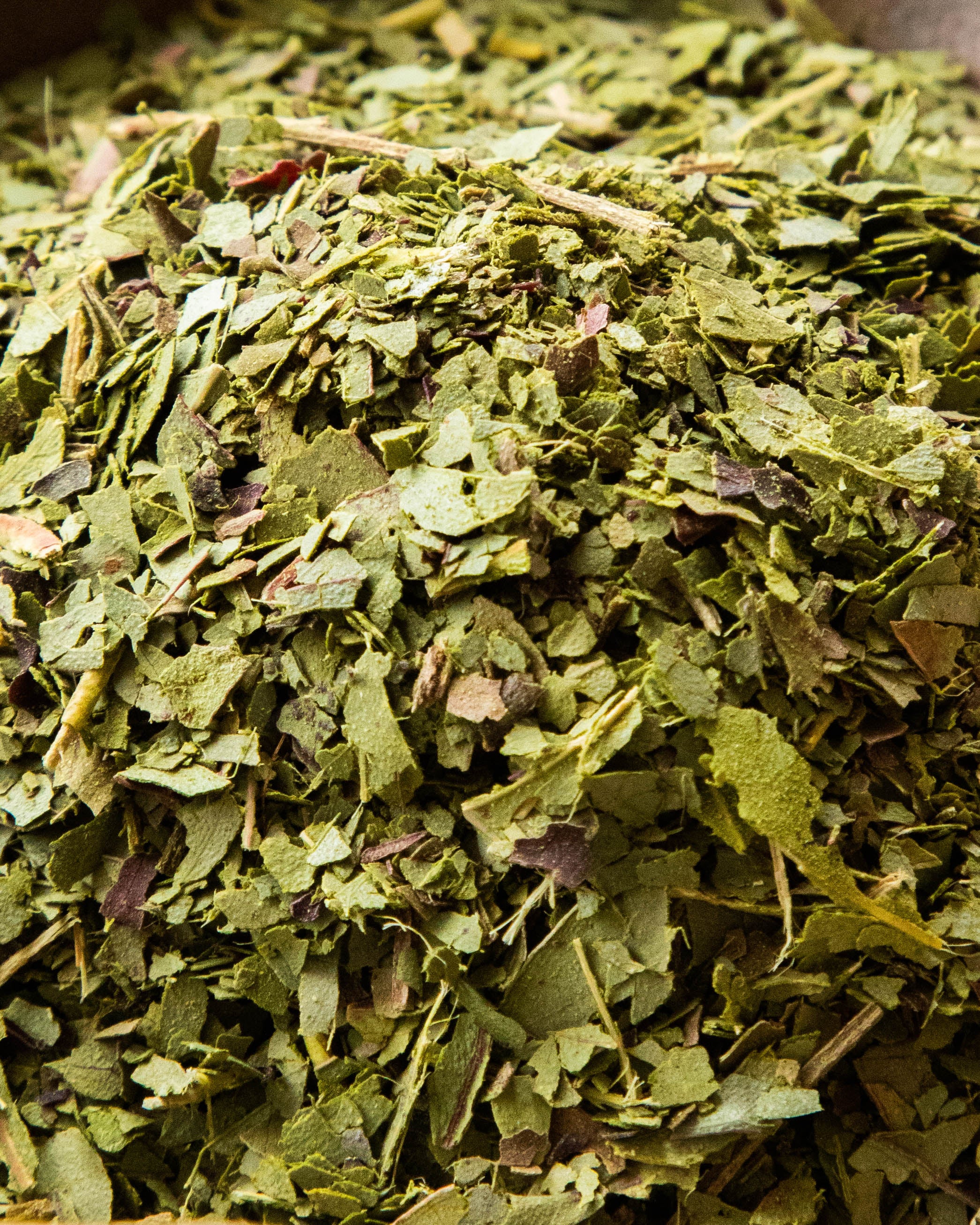 Strawberry Gum - Eucalyptus Olida