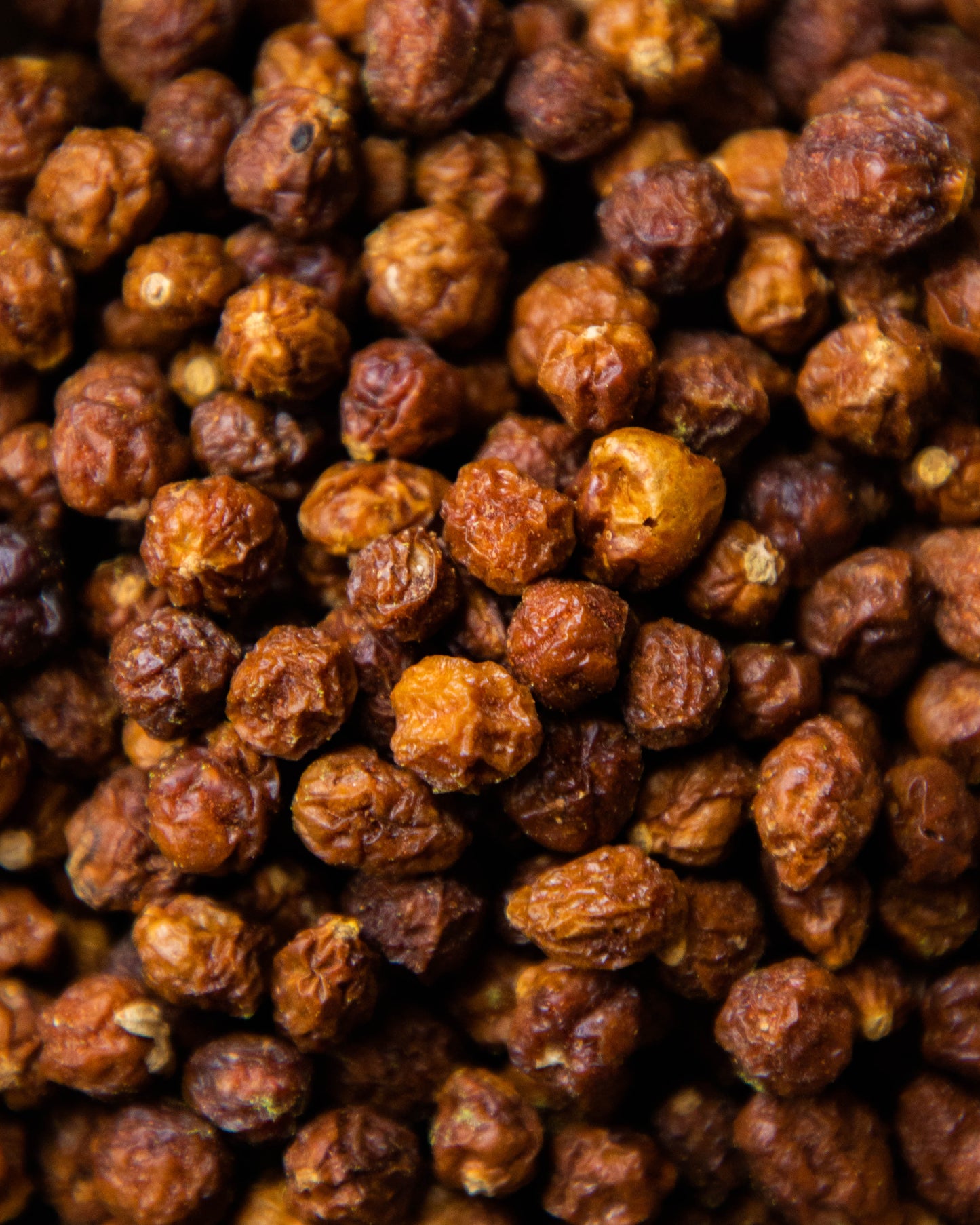 Bush Tomatoes - (dried fruit)