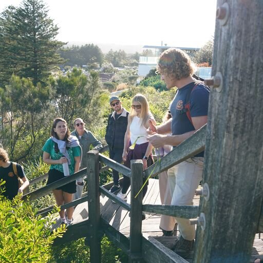 Bush Tucker Walking Tour – North Head Sanctuary
