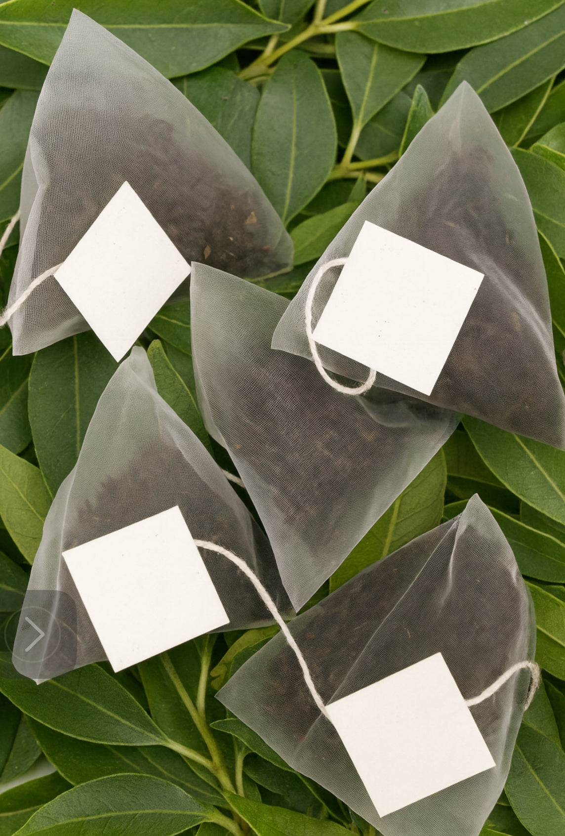 Lemon Myrtle tea bags on top of leaves